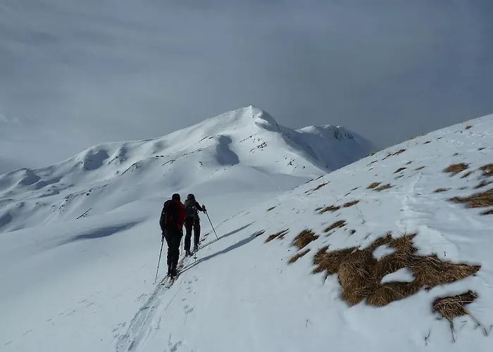 Appartement Enzian *