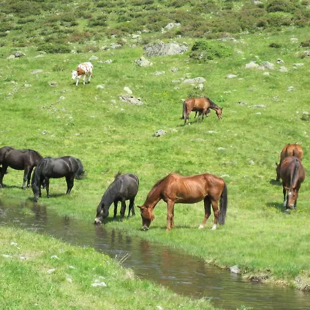 Enzian Bach (Tyrol)